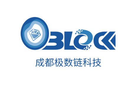 成都极数链科技 赋能数字未来的网络技术服务专家